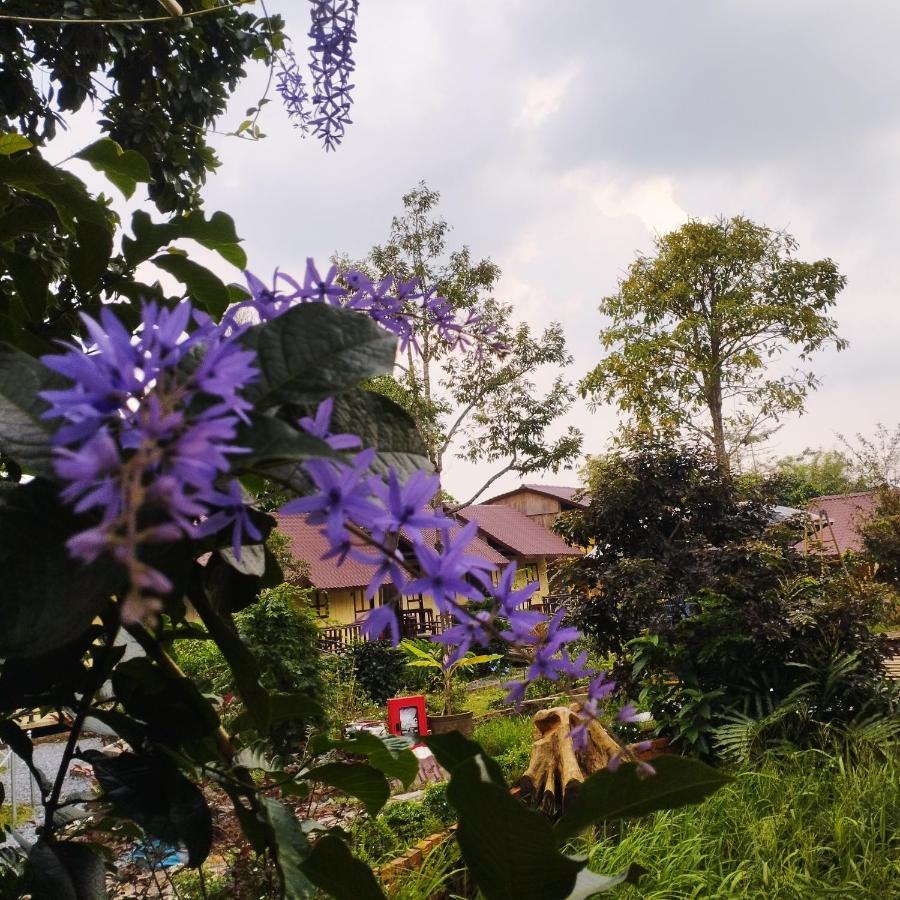Brown House Resort Can Tho Bagian luar foto