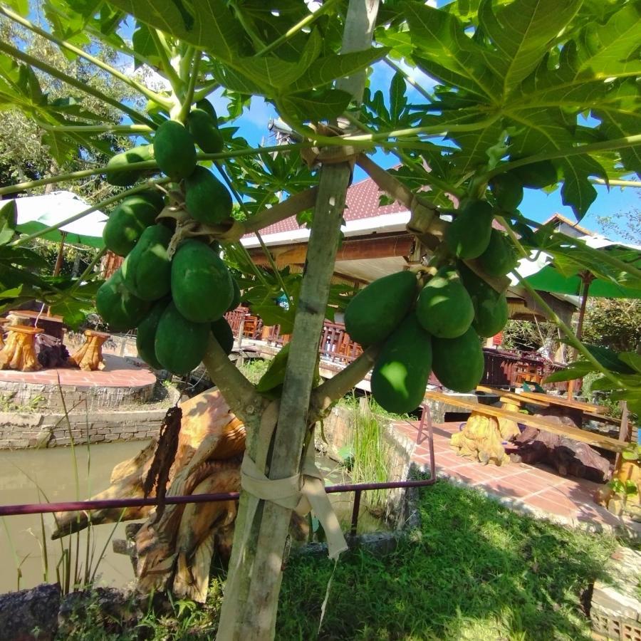 Brown House Resort Can Tho Bagian luar foto
