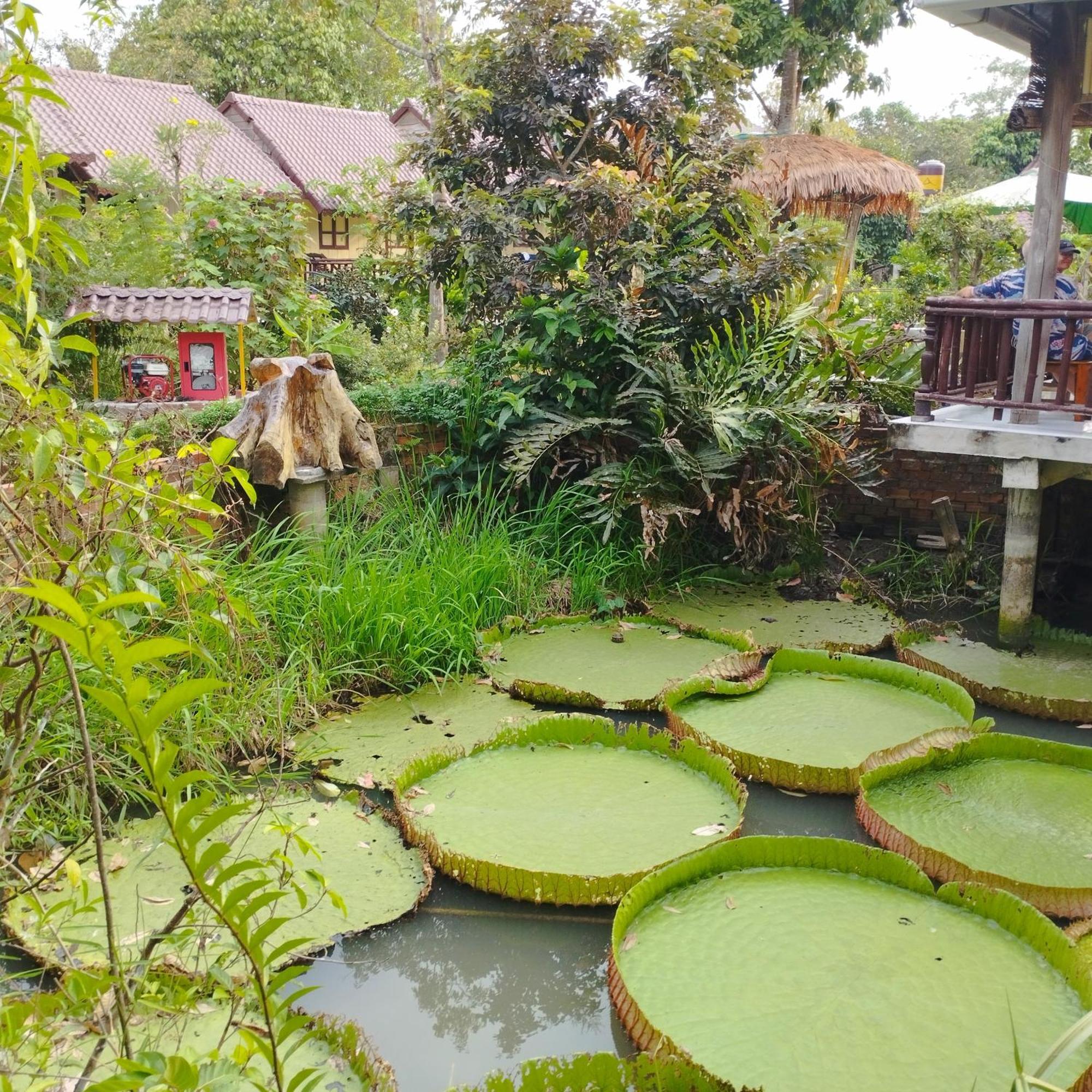Brown House Resort Can Tho Bagian luar foto